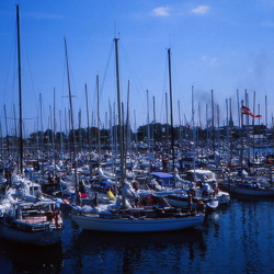 1976